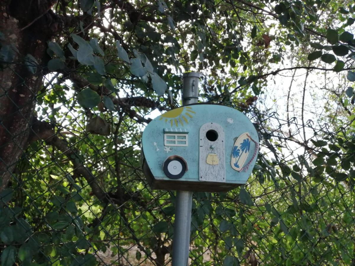 Monte Papa Figos Villa Malhao  Kültér fotó